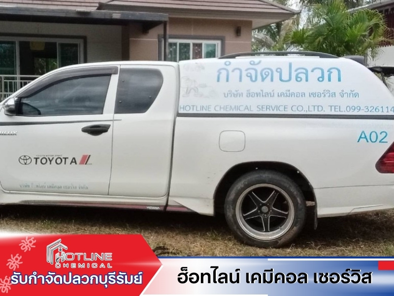 กำจัดปลวกรวดเร็ว กำจัดปลวกรวดเร็ว