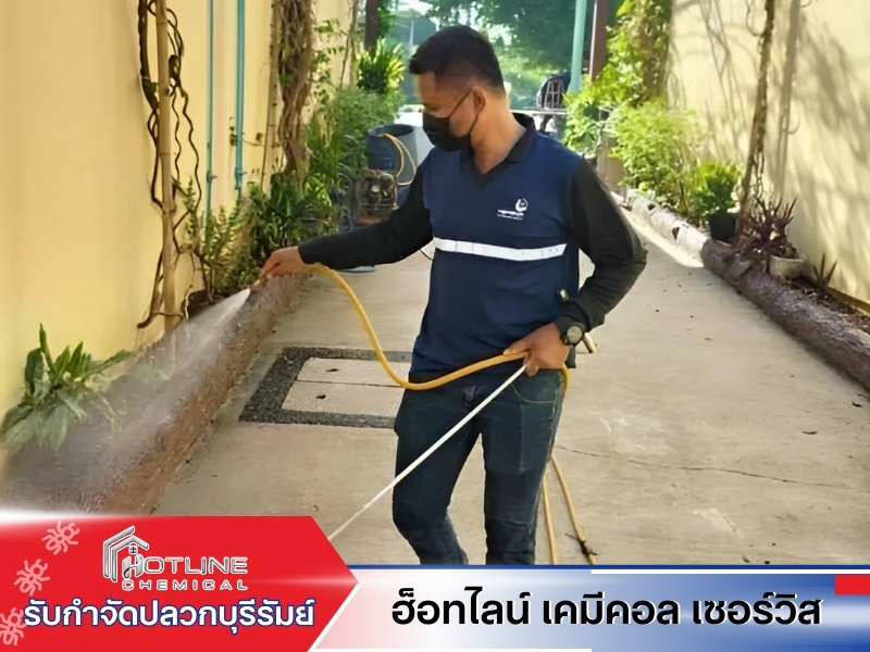 ฉีดน้ำยากำจัดปลวกบุรีรัมย์ ฉีดน้ำยากำจัดปลวกบุรีรัมย์