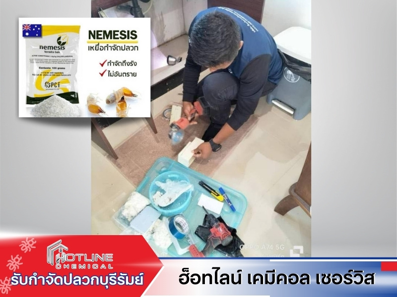 ผลิตภัณฑ์กำจัดปลวกบุรีรัมย์ ผลิตภัณฑ์กำจัดปลวกบุรีรัมย์