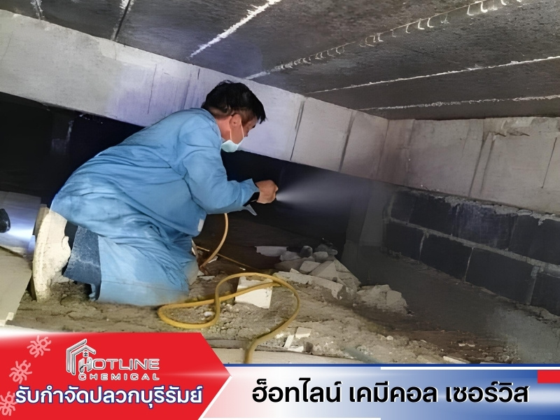 รับกำจัดปลวกราคาถูก รับกำจัดปลวกราคาถูก