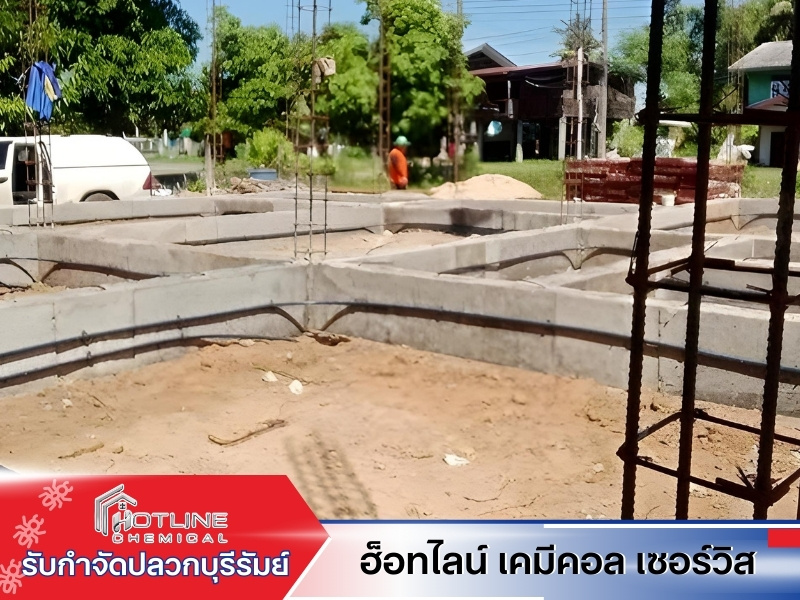 รับเหมาวางระบบกำจัดปลวก รับเหมาวางระบบกำจัดปลวก