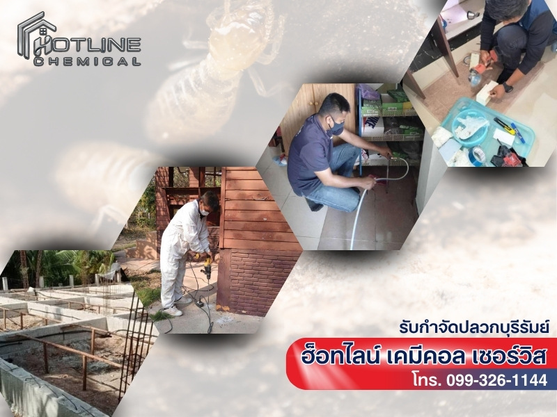 รับกำจัดปลวกบุรีรัมย์